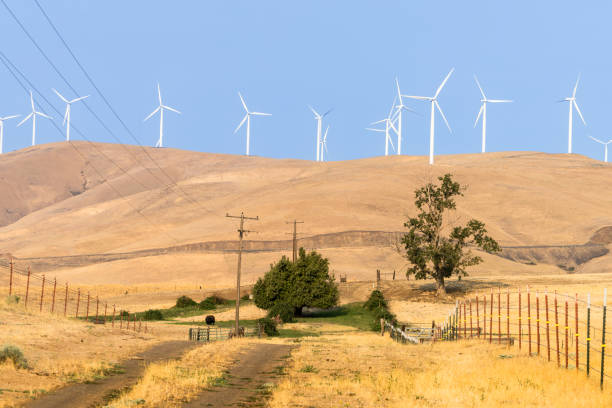 Large windmills generating alternative energy via natural resources.