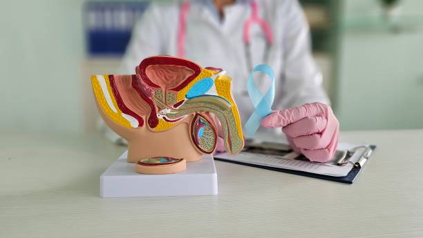 istock Prostate cancer signs symptoms and oncology 2176052542