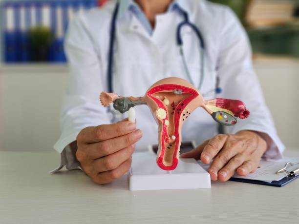 istock Medical vaginal suppositories for uterus 2176053592