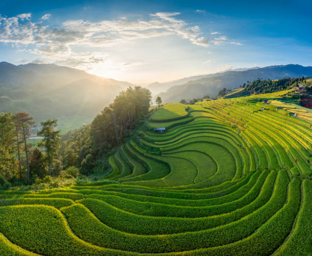 istock Mu Cang Chai rice terrace 2176055425