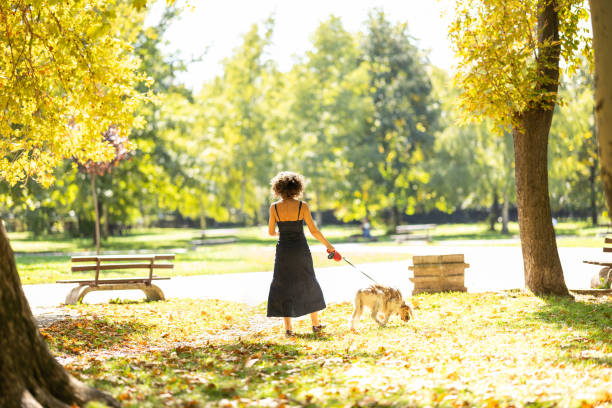 istock Dog walking in autumn park 2176058352