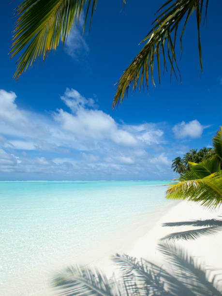 istock tropical Maldives island with white sandy beach and sea 2176060896