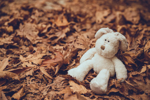 istock Lonely Stuffed Animal Alone Among Autumn Leaves 2176061479
