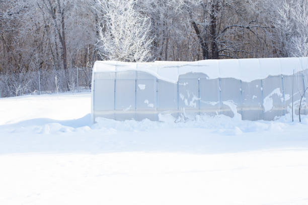 istock Arched polycarbonate greenhouse, covered with snow, in a winter garden. 2176063206