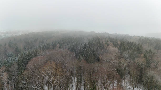 winter shot