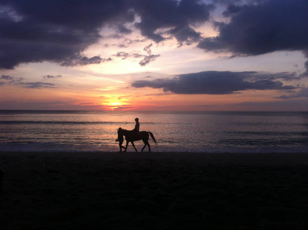 istock Silhouette riding horse on beach at beautiful sunset day. 2176064643