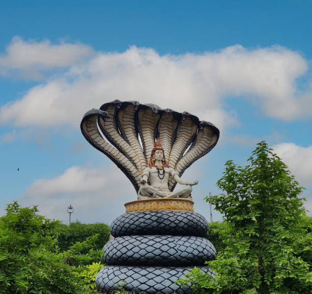 statue of shiva sitting on sheeshnaag
