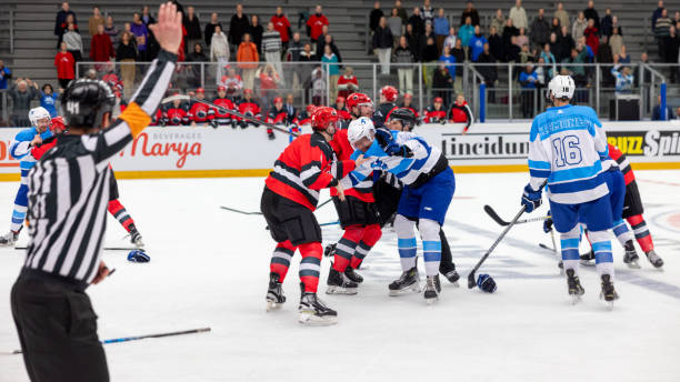 istock Hockey Fight Breaks Out During Game 2176074503