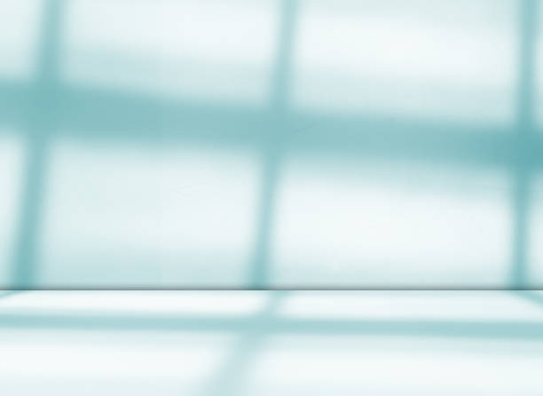 istock Background teal green shadow floor studio room photo empty gradient leaf Floor wall backdrop muslin design canvas surface texture podium eco Scene mockup product cosmetic beauty organic display. 2176074827