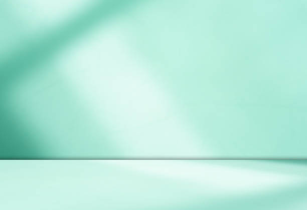 istock Background teal green shadow floor studio room photo empty gradient leaf Floor wall backdrop muslin design canvas surface texture podium eco Scene mockup product cosmetic beauty organic display. 2176075210