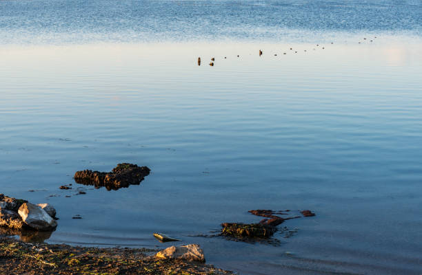 Pomorie's salt lake abstract. Burgas province, Bulgaria, Eastern Europe.