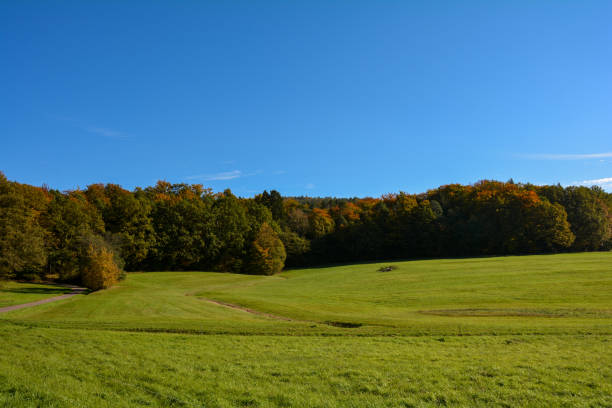 istock Landscape with meadow , blue sky and  trees 2176076336