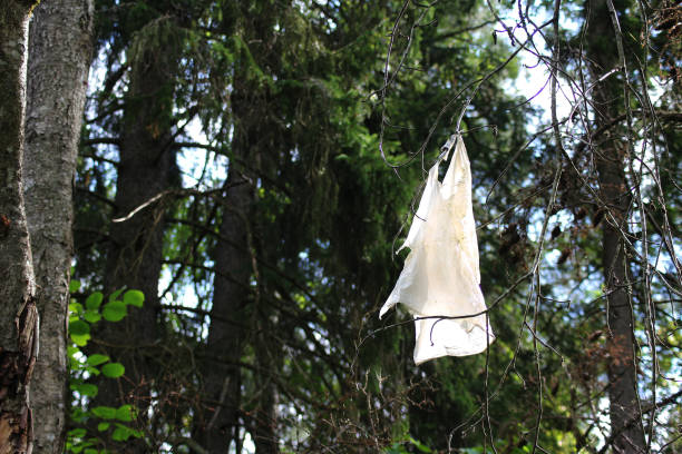 istock A plastic shopping bag stuck to a twig on a tree in the forest 2176084937