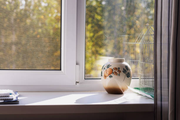 istock an empty vase on the windowsill, taken on a sunny day 2176086173