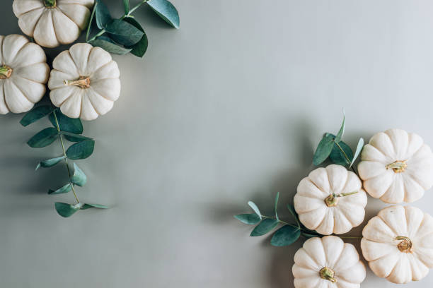 istock flat lay featuring white pumpkins and eucalyptus arranged on a muted grey-green background. 2176098944