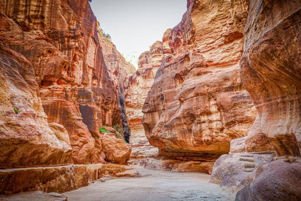 istock Siq Canyon in Petra, Jordan 2176099384