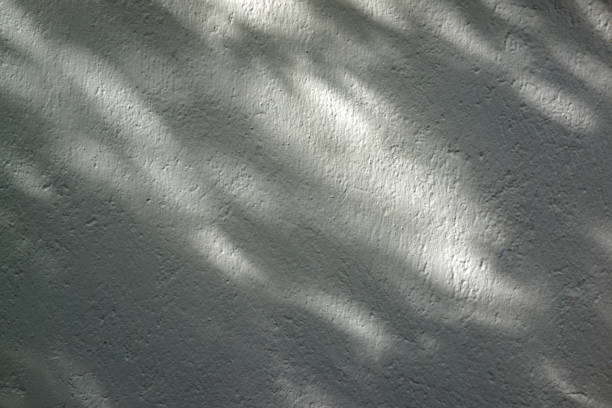 A rough-textured, white-painted wall with delicate leaf shadows gracefully cast by the sunlight, evoking a calming and organic atmosphere.