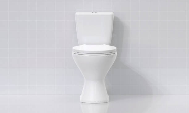 istock Toilet bowl in the bathroom 2176114273