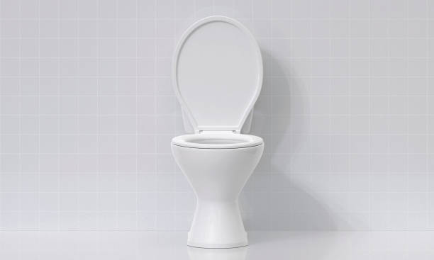 istock Toilet bowl in the bathroom 2176114274