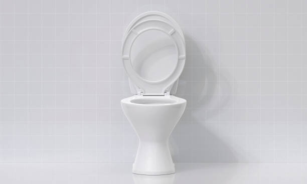 istock Toilet bowl in the bathroom 2176114275