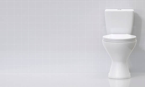 istock Toilet bowl in the bathroom 2176114324