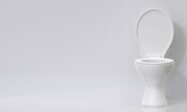istock Toilet bowl in the bathroom 2176114325