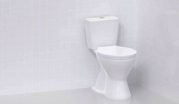 istock Toilet bowl in the bathroom 2176114329