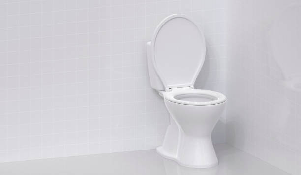 istock Toilet bowl in the bathroom 2176114331