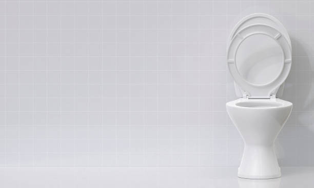 istock Toilet bowl in the bathroom 2176114342