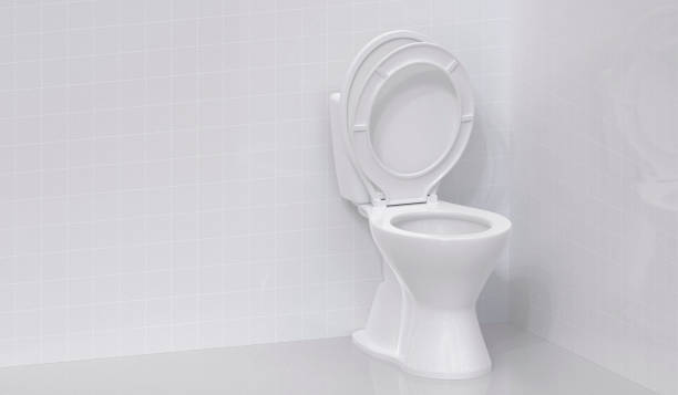 istock Toilet bowl in the bathroom 2176114362