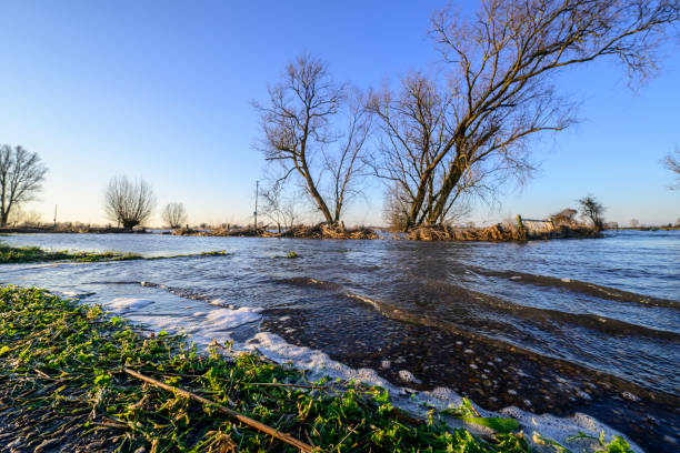IJssel river at Zalk with high water level on the floodplains of the river IJssel near Zwolle after a long period of heavy rain upstream in January 2023.