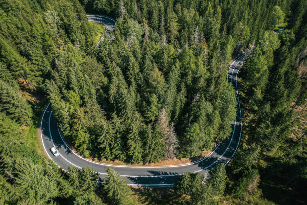 istock mountain road in a green forest (aerial view) 2176125243