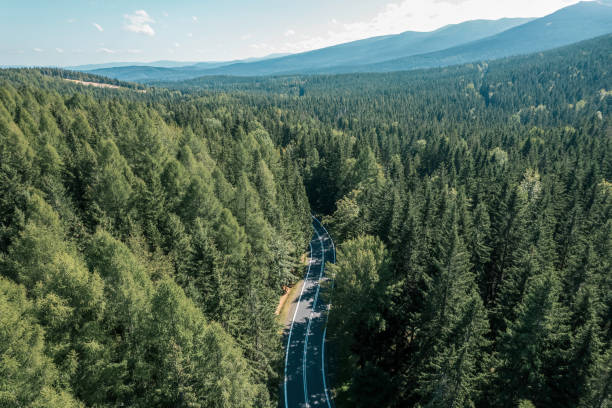 winding mountain road (drone view)
