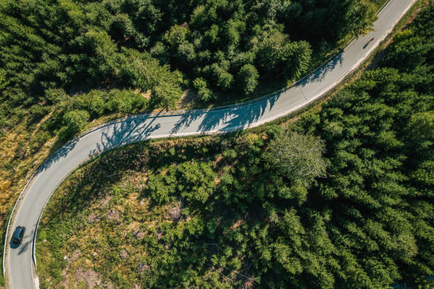 istock mountain road in a green forest (aerial view) 2176125302