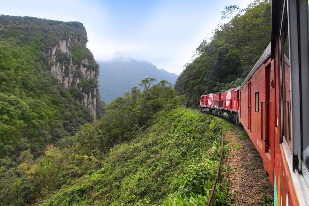 People ride Serra Verde Express, a jungle train in Brazil. The famous railway line was constructed in 1880s and has 13 tunnels and 30 viaducts.