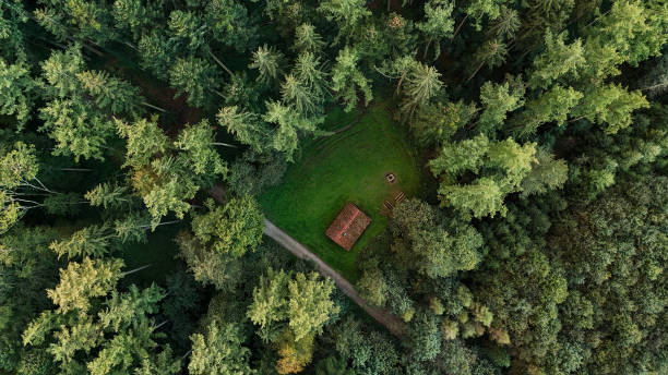 istock Secluded Cabin in a Pine Forest from Aerial View 2176138065