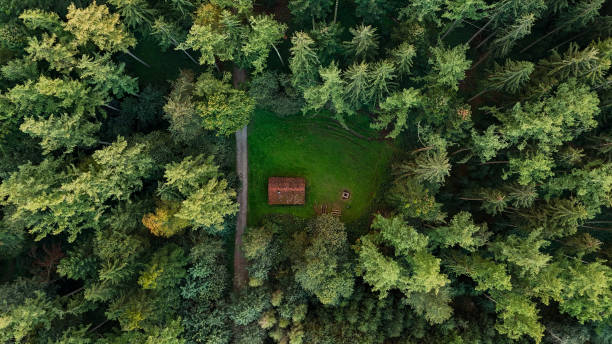 istock Cozy Cabin in the Forest from Aerial View 2176138067