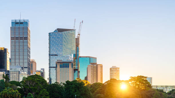 Sydney City skyline at sunset