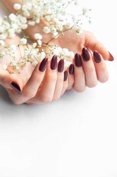 istock Elegant hands with dark nail polish holding delicate flowers on a soft white surface in bright natural light 2176153237