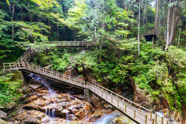 istock Ryujin Falls in Nakatsugawa City Japan 2176155792