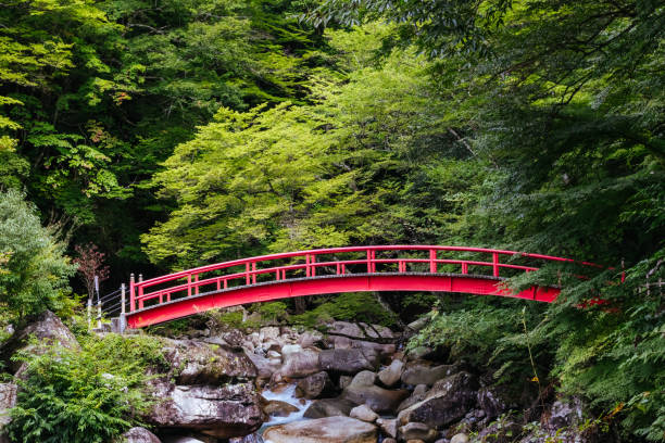 istock Ryujin Falls in Nakatsugawa City Japan 2176155804