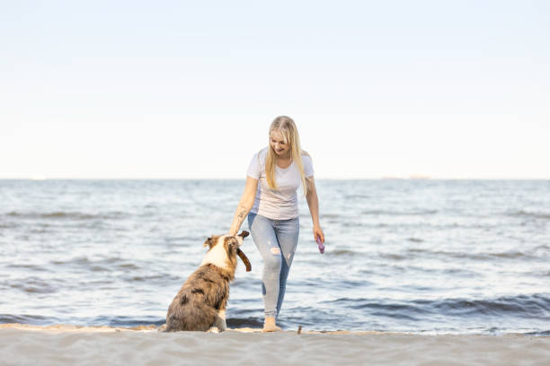 istock Young woman having fun on sandy beach with her dog catching a stick 2176162458