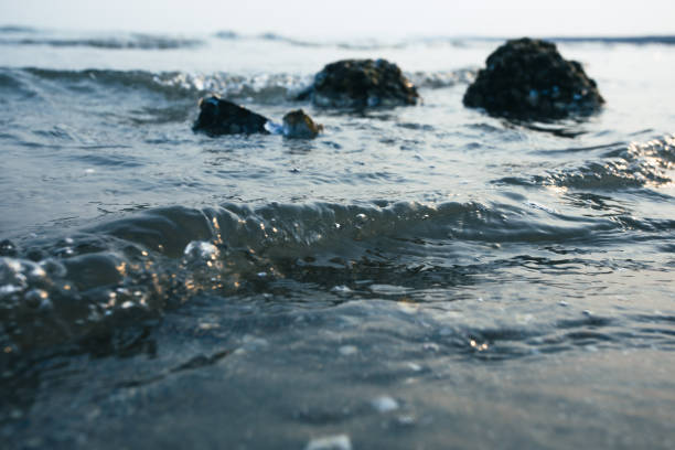 The surface waves of the ocean