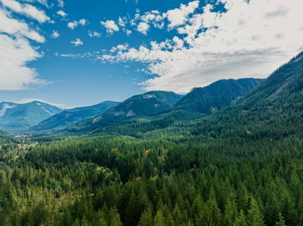 istock Drone View of Forested Valley 2176168622