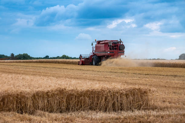 istock Combine harvesting wheat in France 2176168882