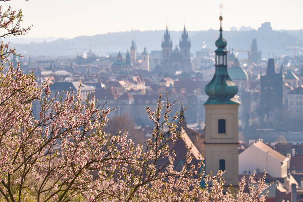 Almond blossoms bloom in the foreground, framing the enchanting spires and rooftops of Prague in a soft morning light. The iconic Gothic towers of the Church of Our Lady before Týn rise in the distance, adding a mystical allure to the scene. The delicate contrast between nature's awakening and the historical architecture evokes a sense of timeless beauty and serenity.