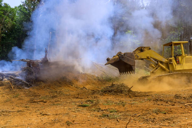 istock In forest, firefighters work with an excavator to clear debris after fire has consumed a tree 2176173187