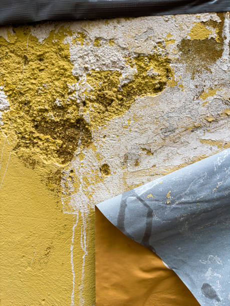 Grunge Revival: Evocative Textural Harmony in Old Poster-Inspired Backgrounds