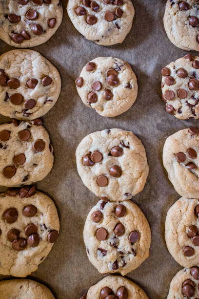 istock Warm and Gooey Chocolate Chip Cookies Cooling on a Tray 2176177354
