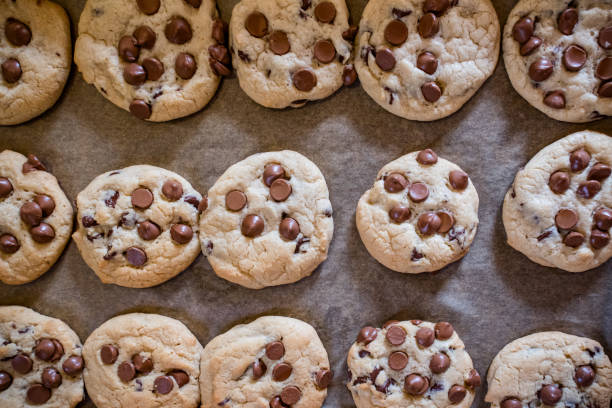 istock Warm and Gooey Chocolate Chip Cookies Cooling on a Tray 2176177364